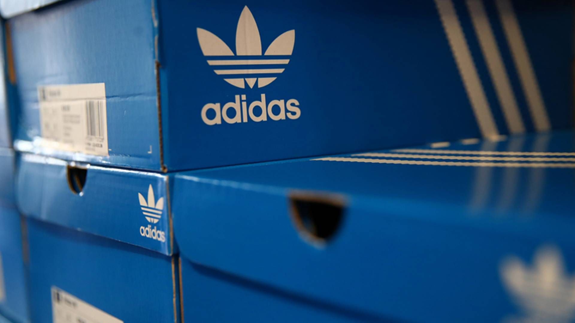 Donald trump adidas shoes on sale